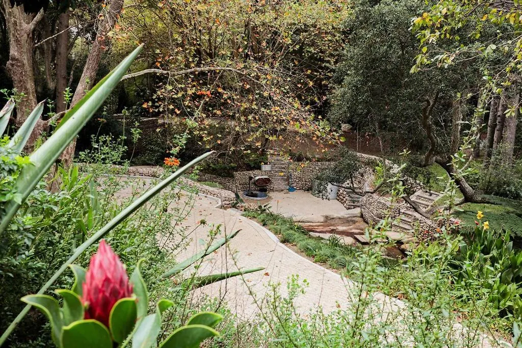 Witteboomen Forest Cottage Cape Town Holiday home