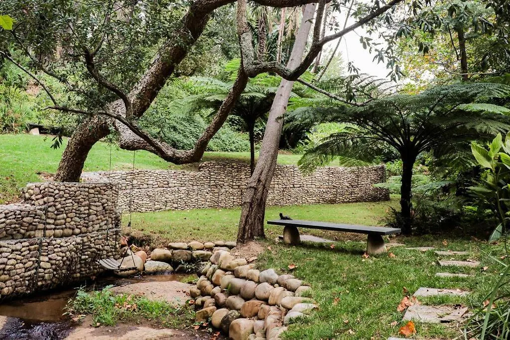Witteboomen Forest Cottage Cape Town