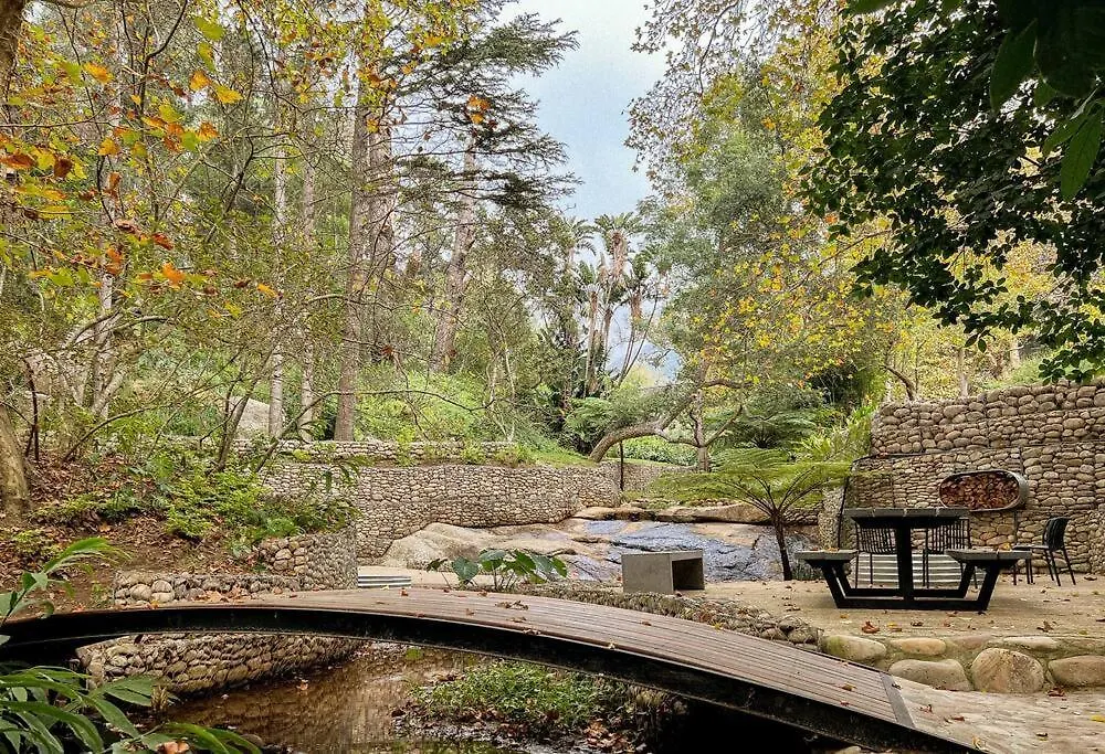 Witteboomen Forest Cottage Cape Town South Africa
